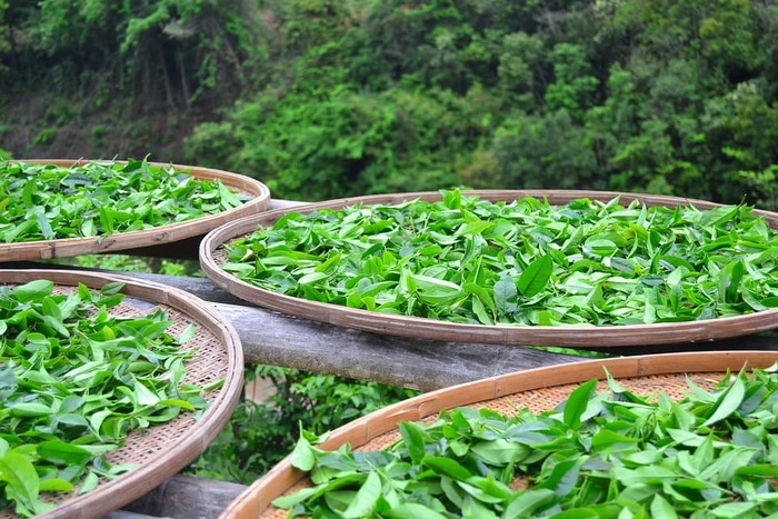 茶饮员工培训服务-006